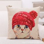 חתול עם כובע אדום